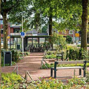 Projecten | Herinrichting busstation Westerhaar met fietsoverkapping en wachtruimte | image #1 | 120638 fietsparkeren fietsoverkapping fietsaanleunhekje fietsnietje straatmeubilair groendak wachtruimte abri