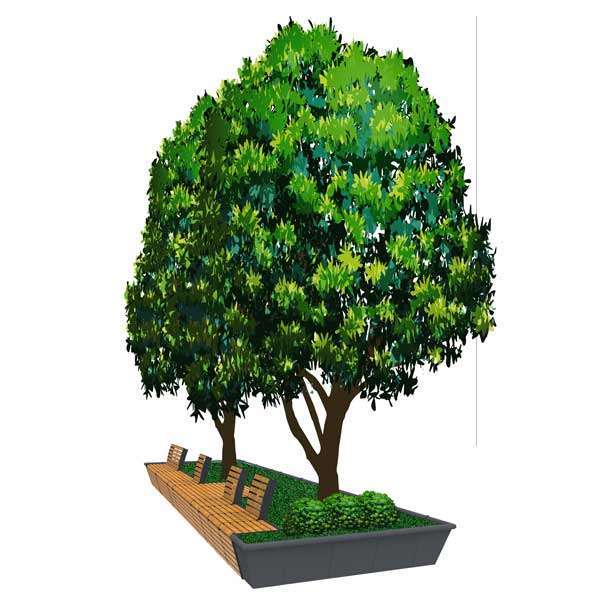 FalcoFlora boombank