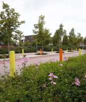 Straatpraat #6: Steeds meer ruimte voor kleur