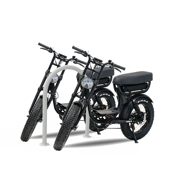 FalcoLean RVS fietsaanleunbeugel, rond